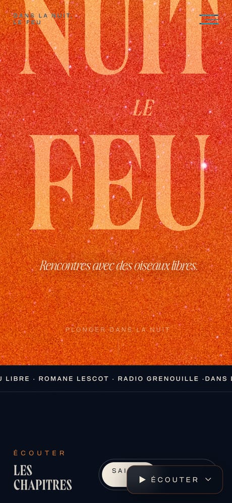Le site « Dans la nuit, le feu » affiché sur mobile : titre de feu et accroche « Rencontres avec des oiseaux libres ».